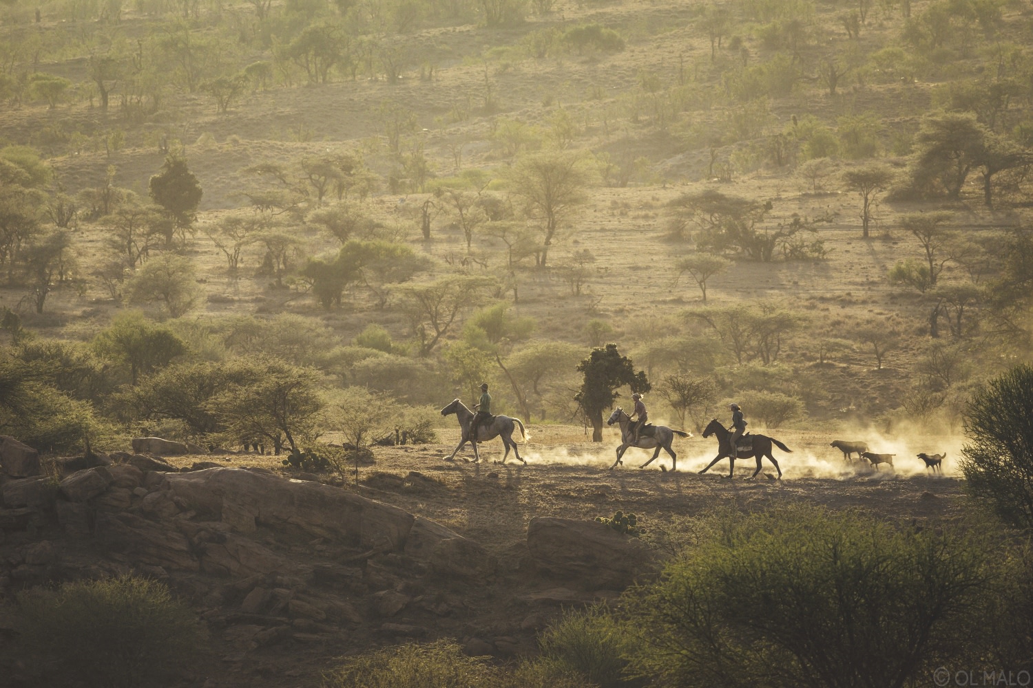 Pferdesafari von der Ol Malo Lodge aus