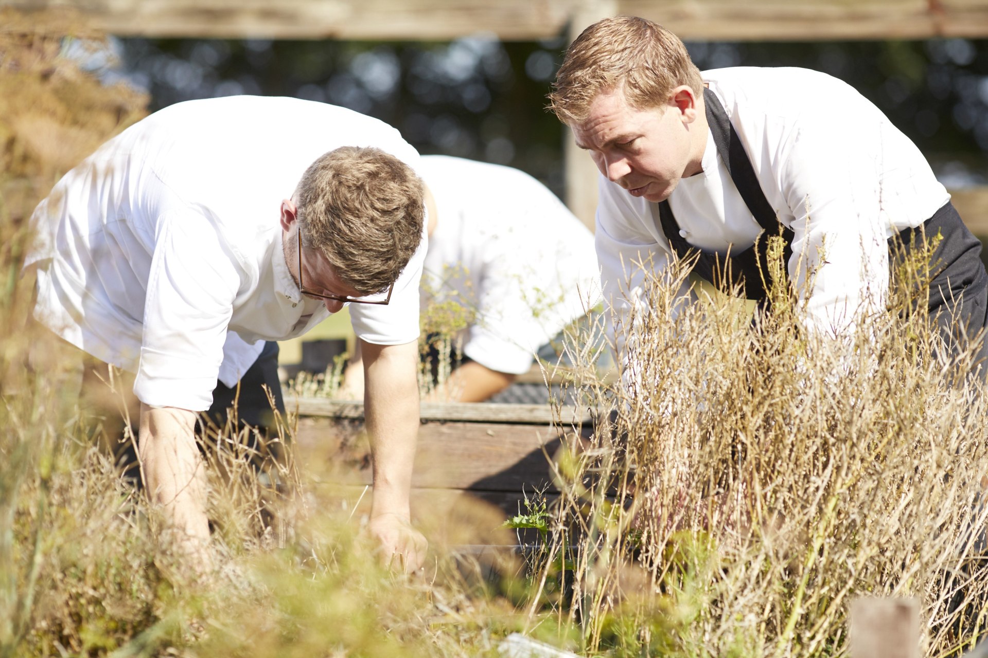 Hotelmitarbeiter bei der Gartenarbeit