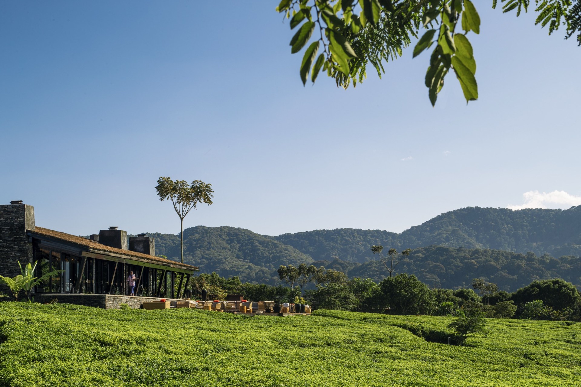 Aussenansicht des One&Only Nyungwe House