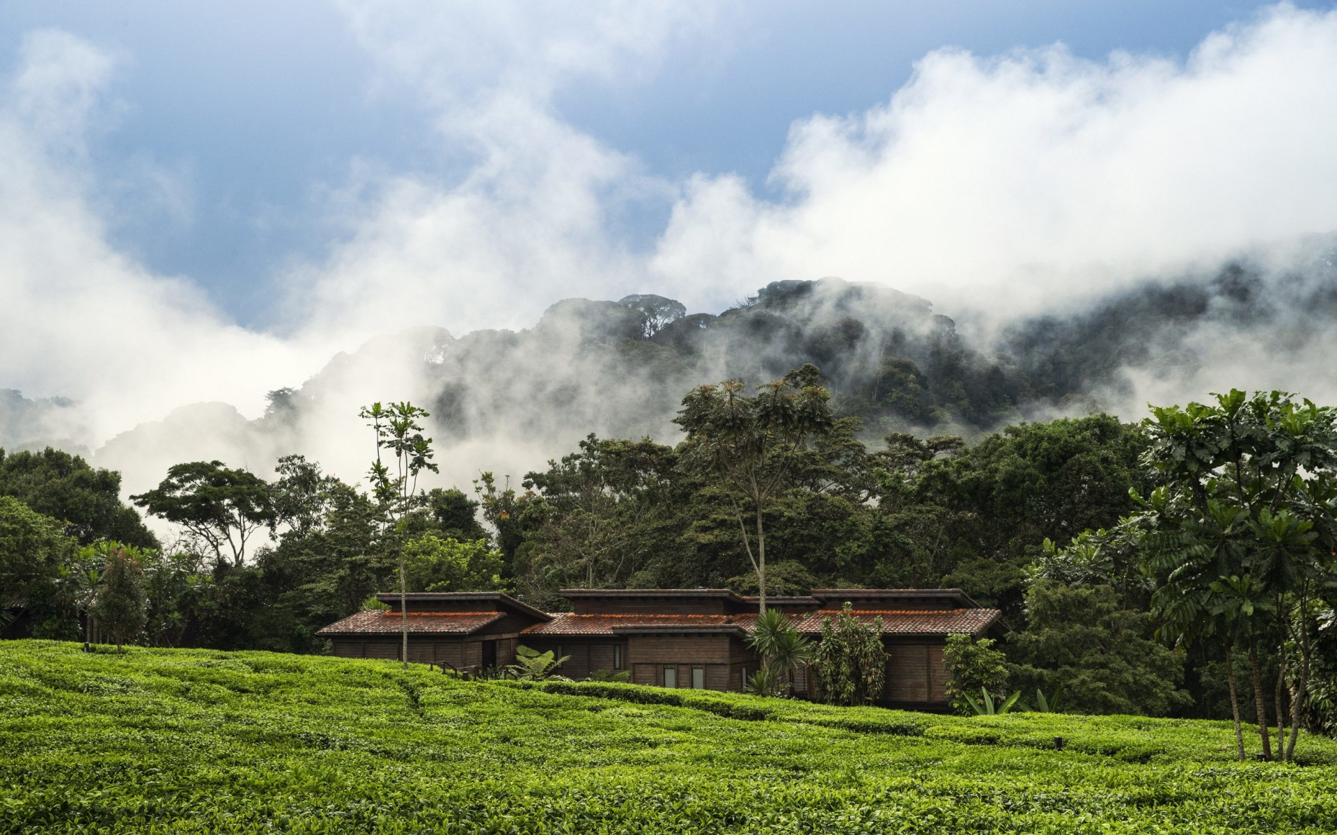 Lage des One&Only Nyungwe House