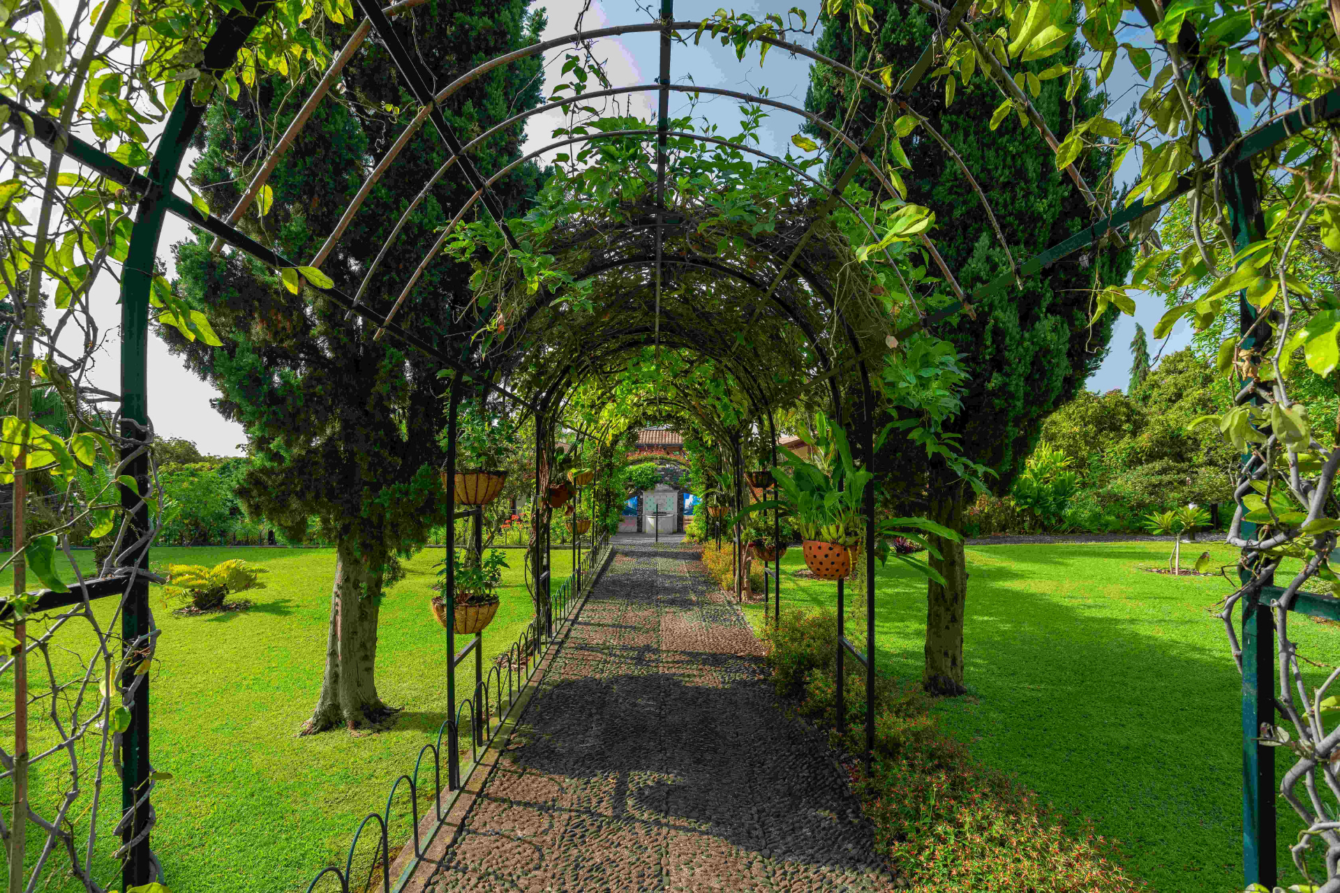 60+ Gartenanlage Kösterbecker Weg, Interessenten an einem garten