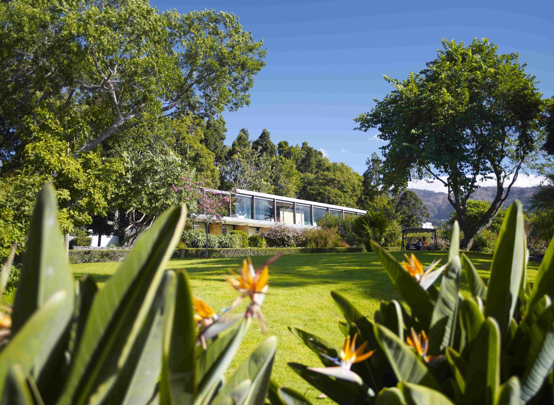 Aussenansicht des Hauses mit Garten