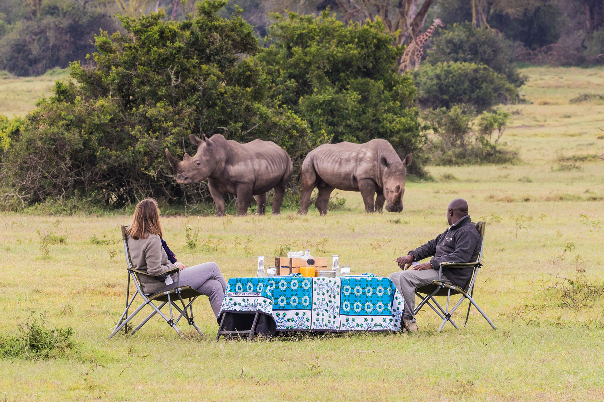 Picknick in der Wildnis nahe der Solio Lodge