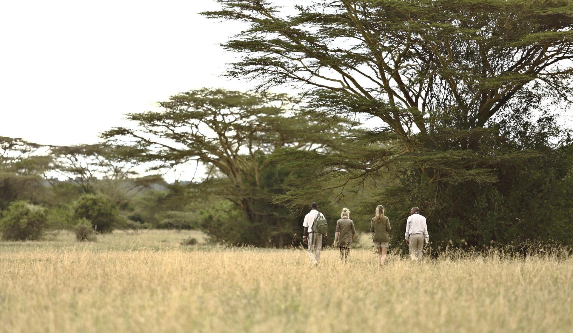 Buschwanderung in Kenia nahe der Solio Lodge