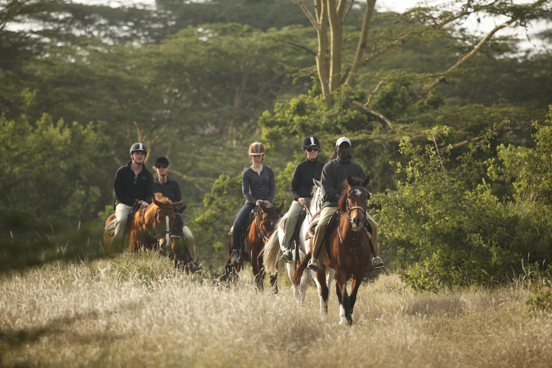 Safari zu Pferd in der Naehe der Solio Lodge