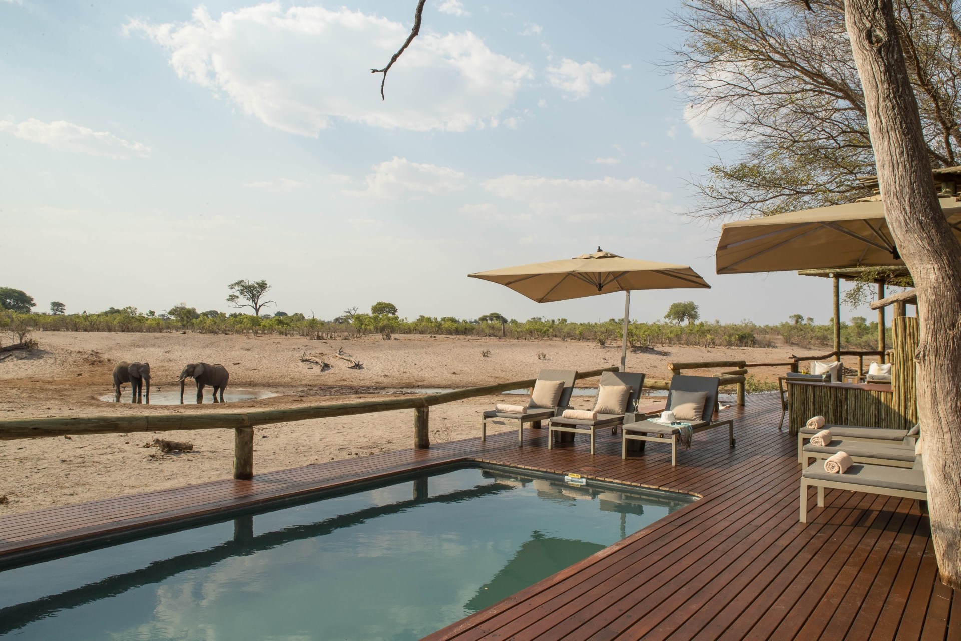 Swimmingpool der Savute Safari Lodge