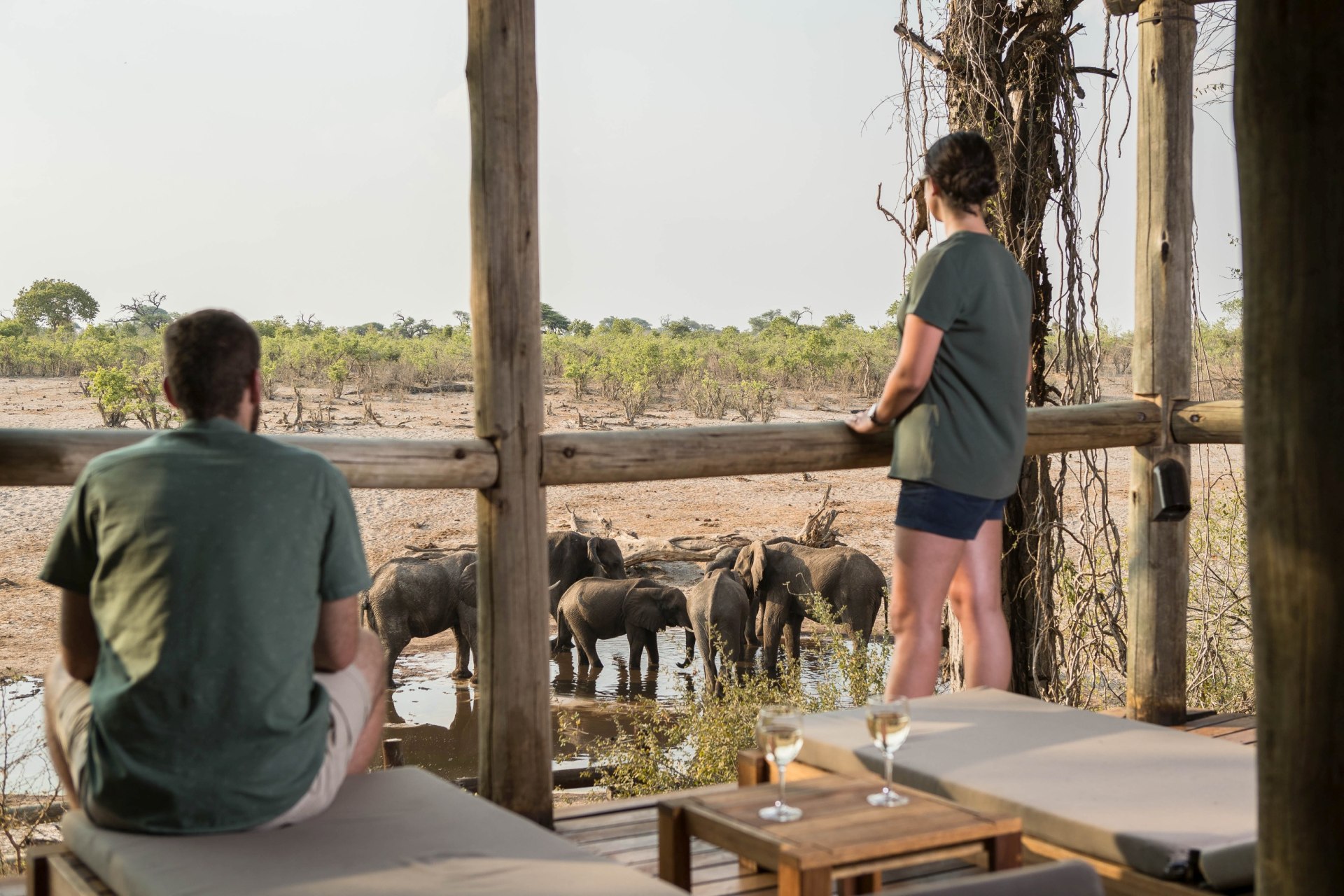 Elefantenbeobachtung von der eigenen Terrasse in der Savute Safari Lodge