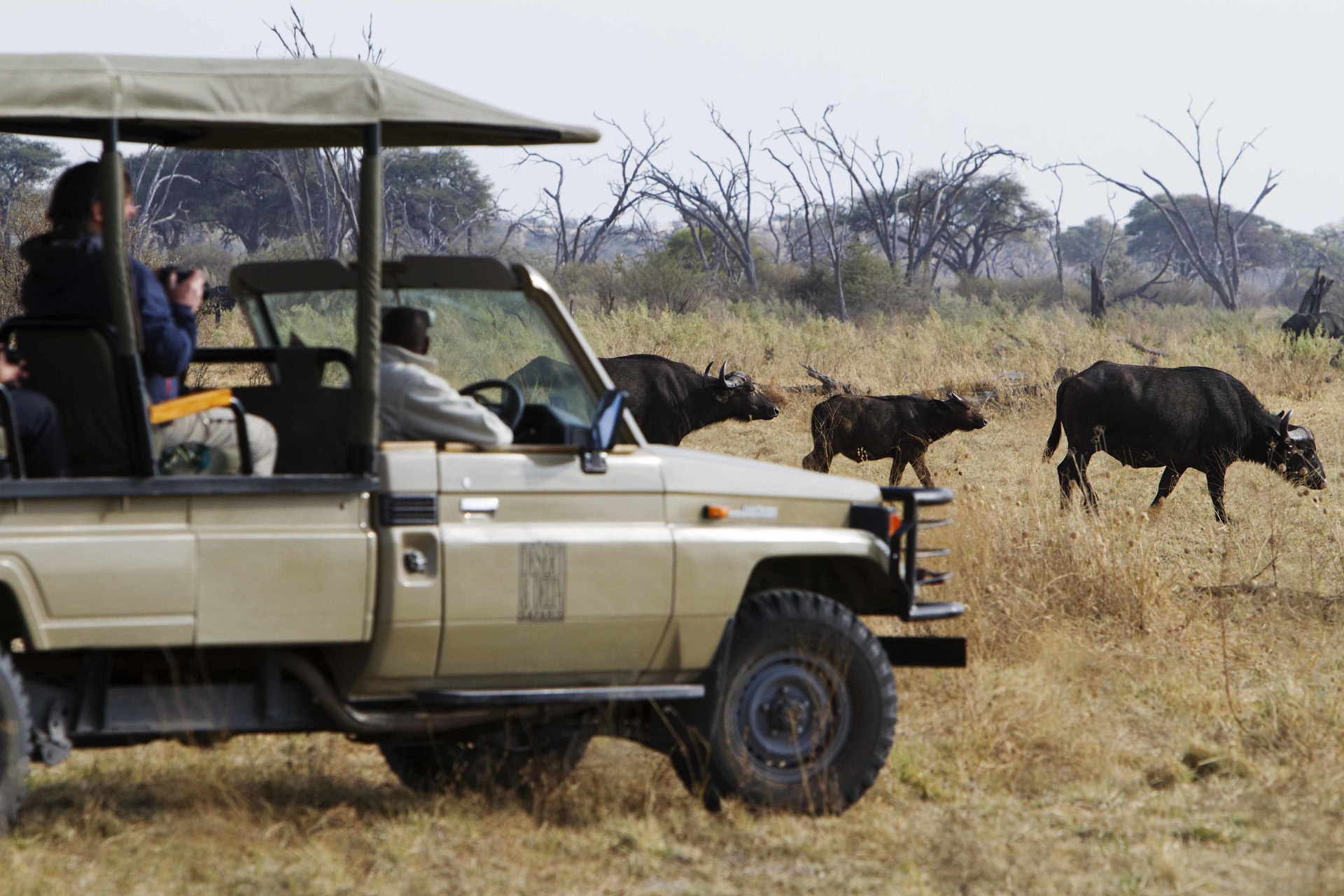 Pirschfahrt in der Naehe der Savute Safari Lodge