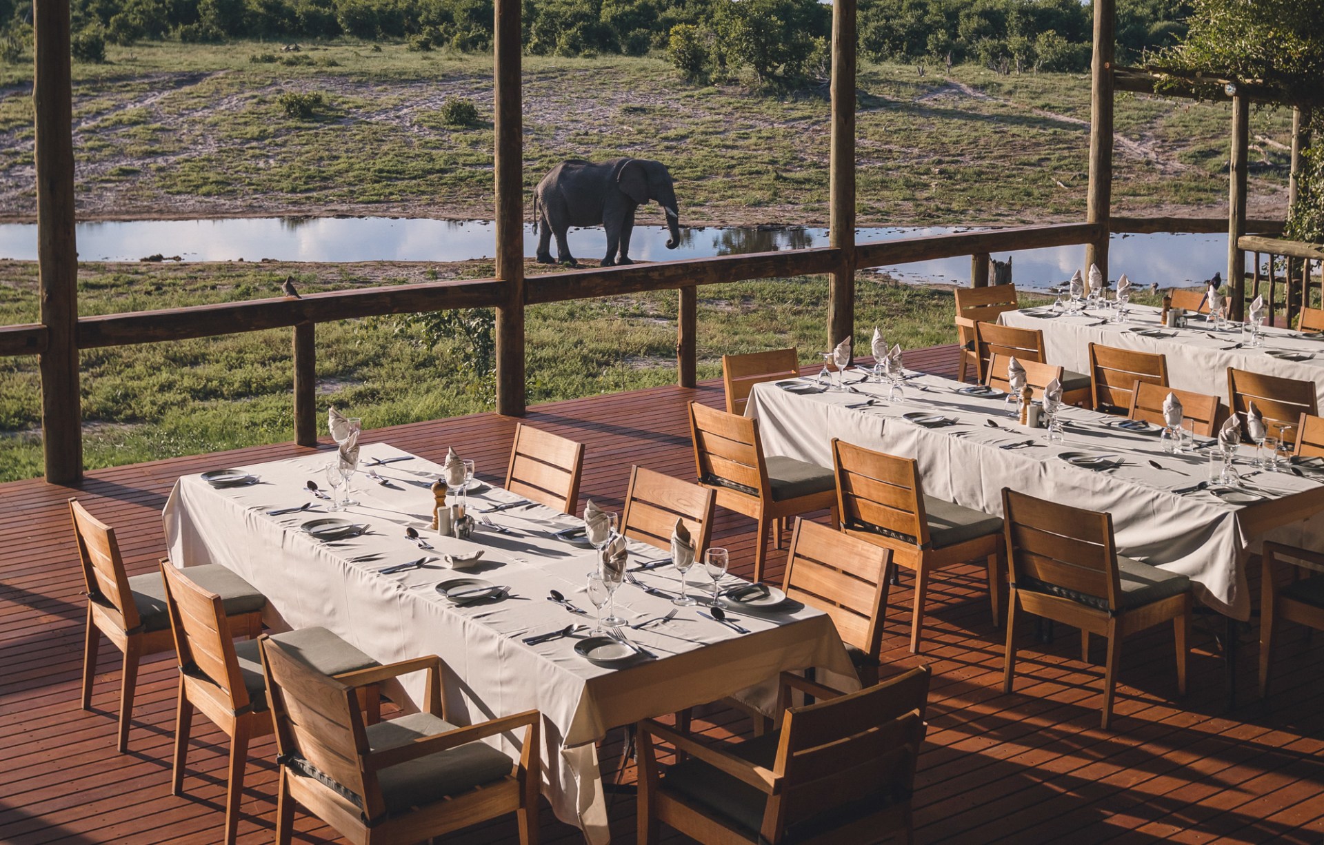 Ausblick aus dem Restaurant der Savute Safari Lodge