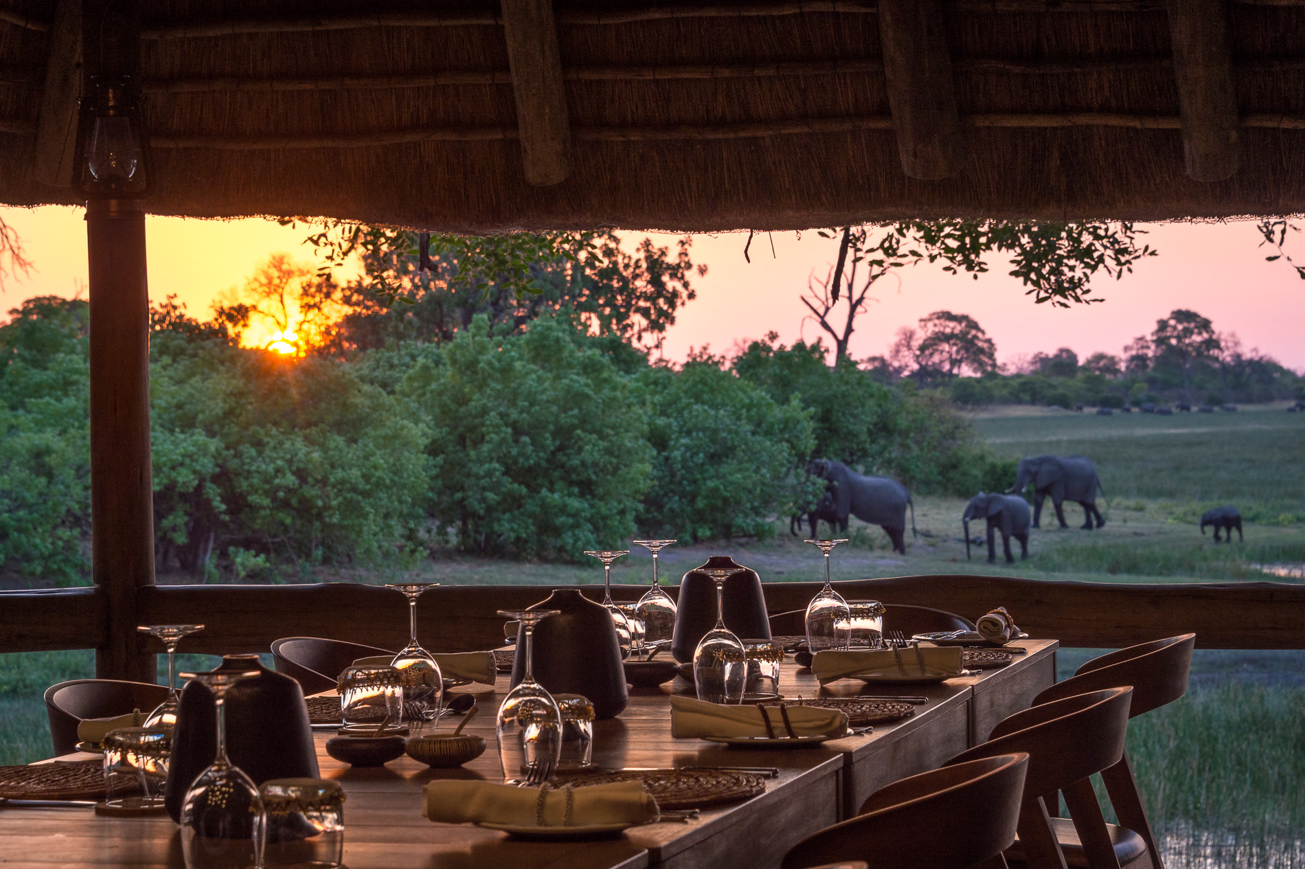 Aussicht auf Elefanten beim Abendessen im Savuti Camp