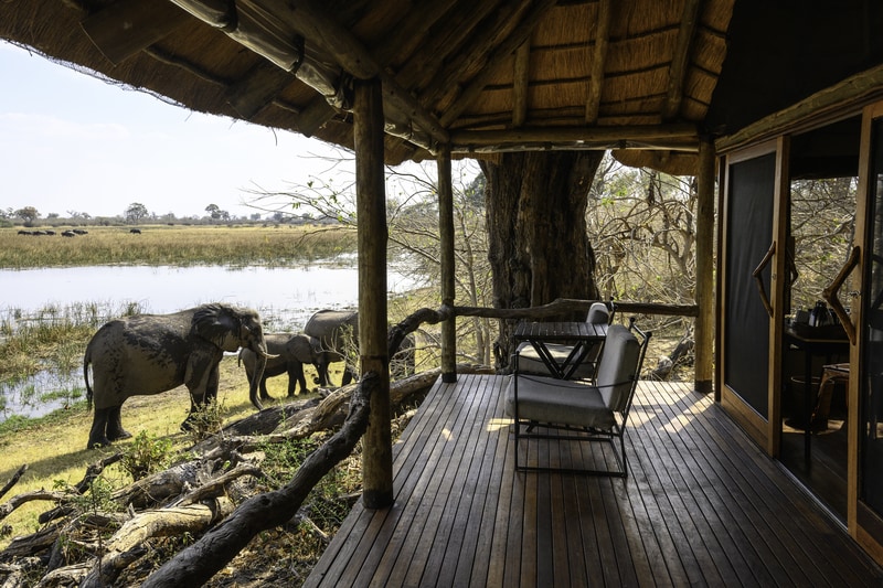 Aussicht auf einen Elefanten von der Veranda eines Gaestezelts des Savuti Camps