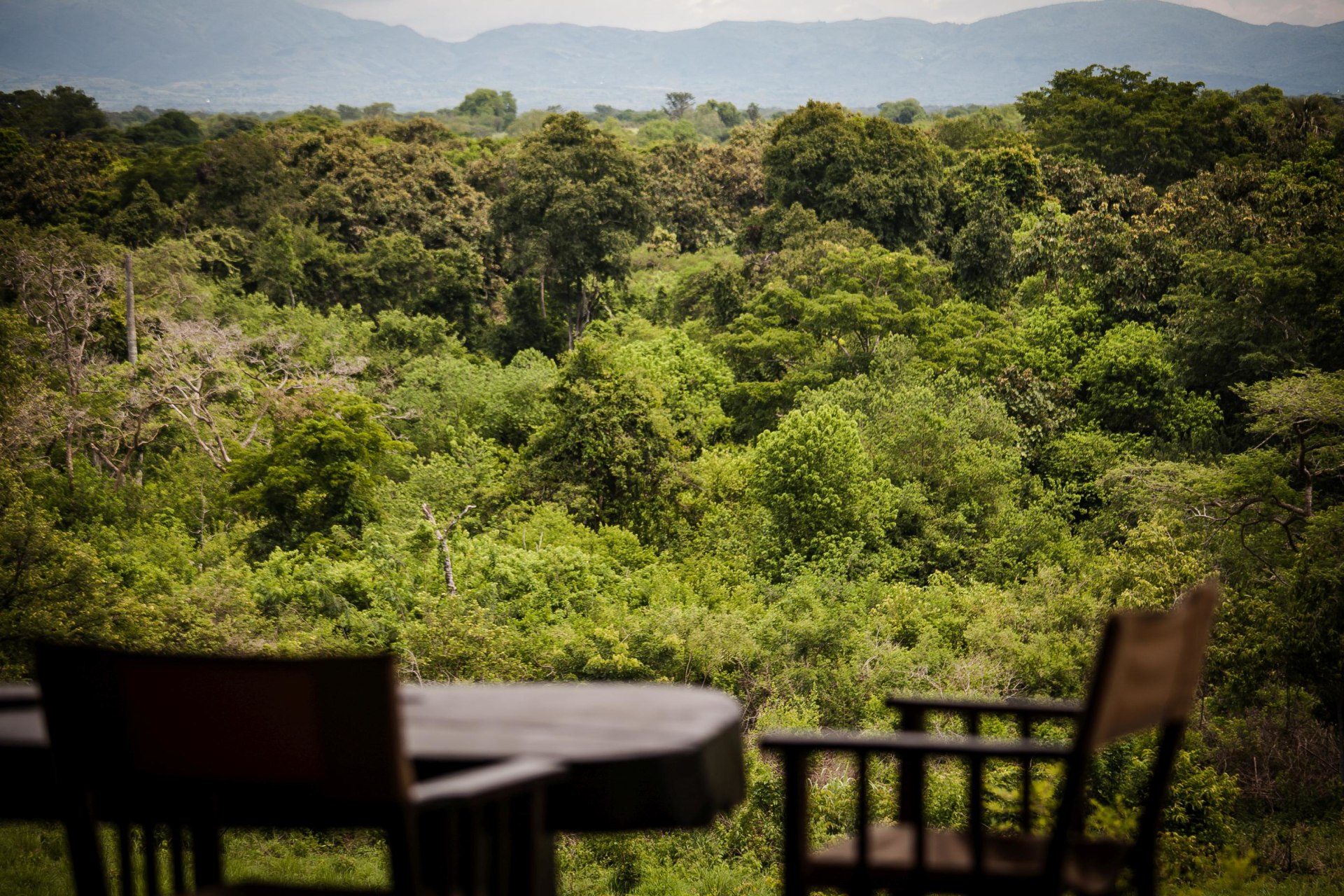 Aussicht in die Wildnis von der Terrasse der Semliki Safari Lodge