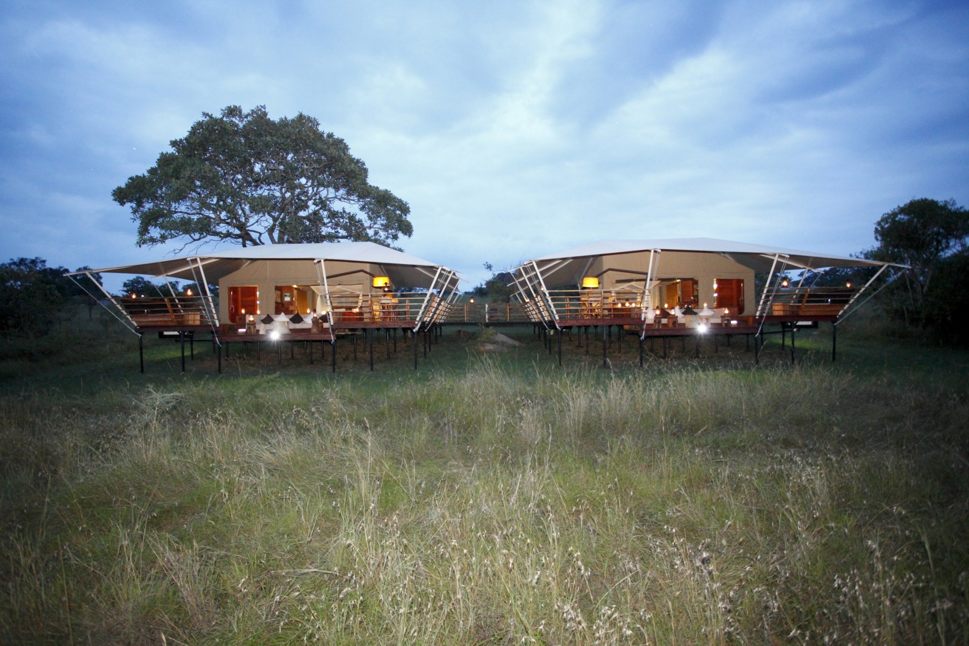 Aussenansicht des Familienzelts im Serengeti Bushtops