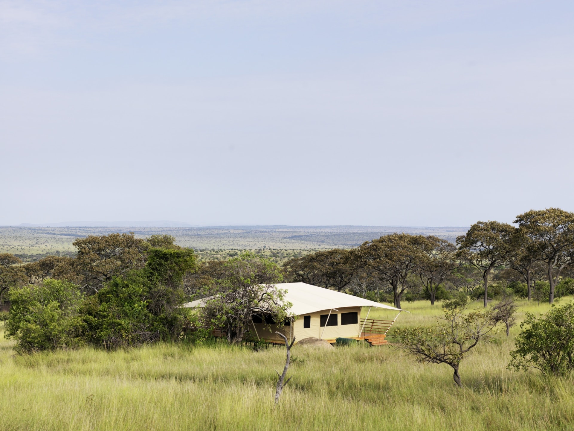 Lage des Serengeti Bushtops