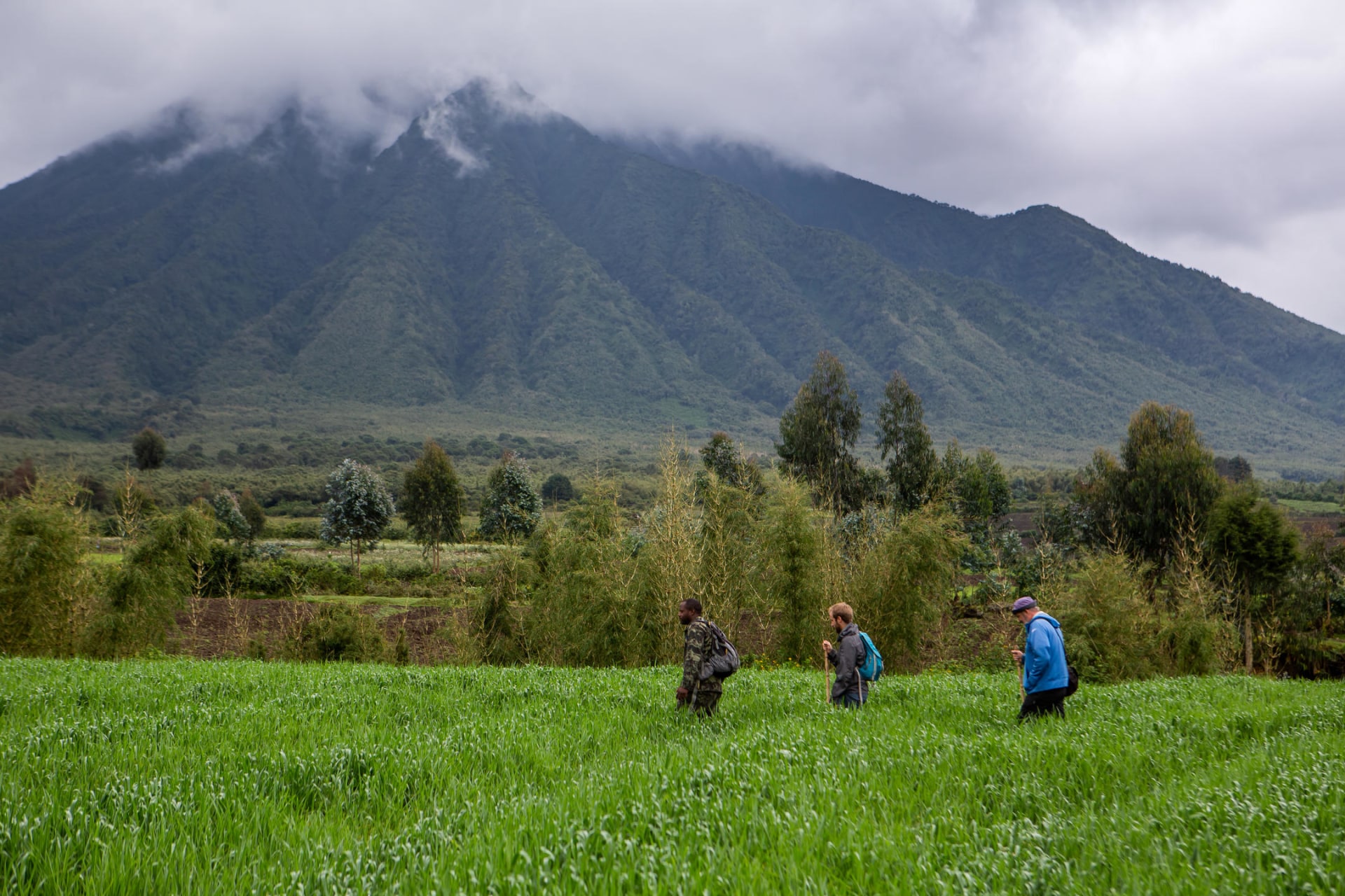 Wanderungen im Volcanoes Nationalpark in Ruanda