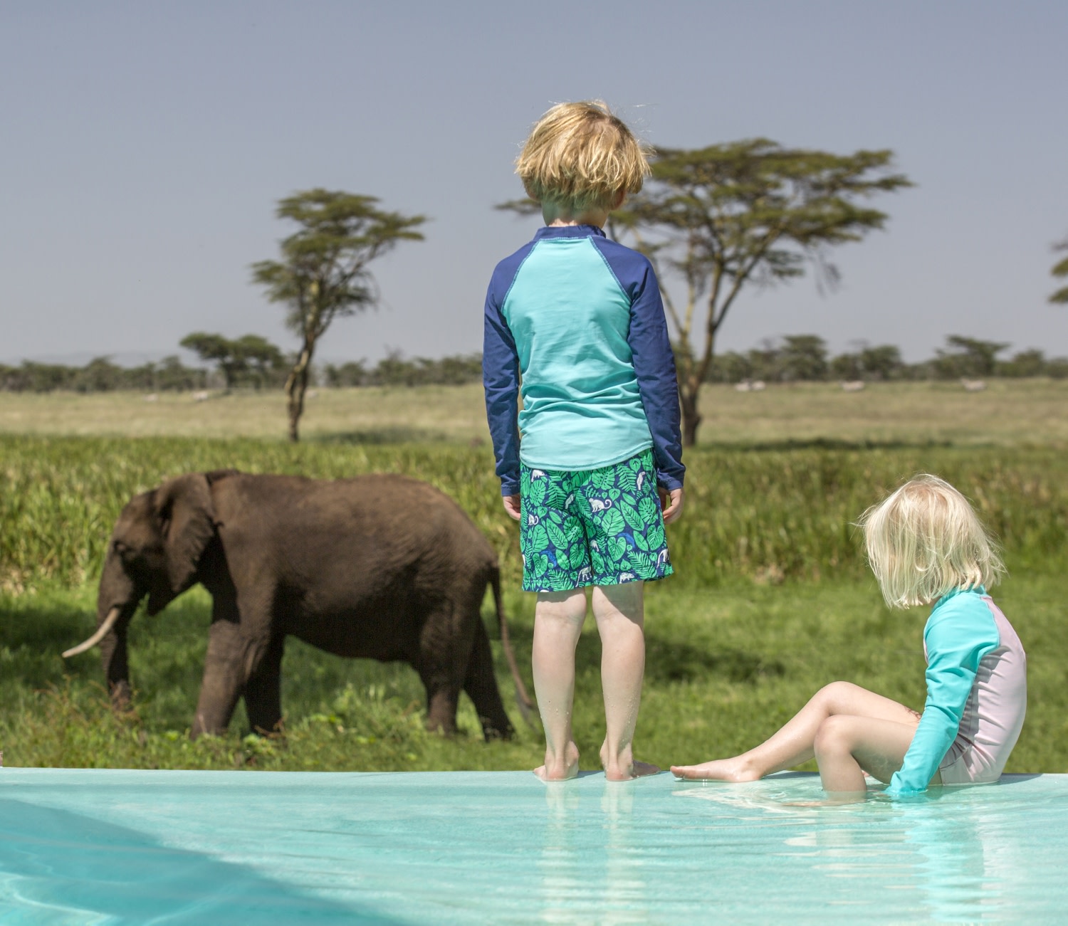 Kinder beobachten Elefanten vom Pool der Sirikoi Lodge