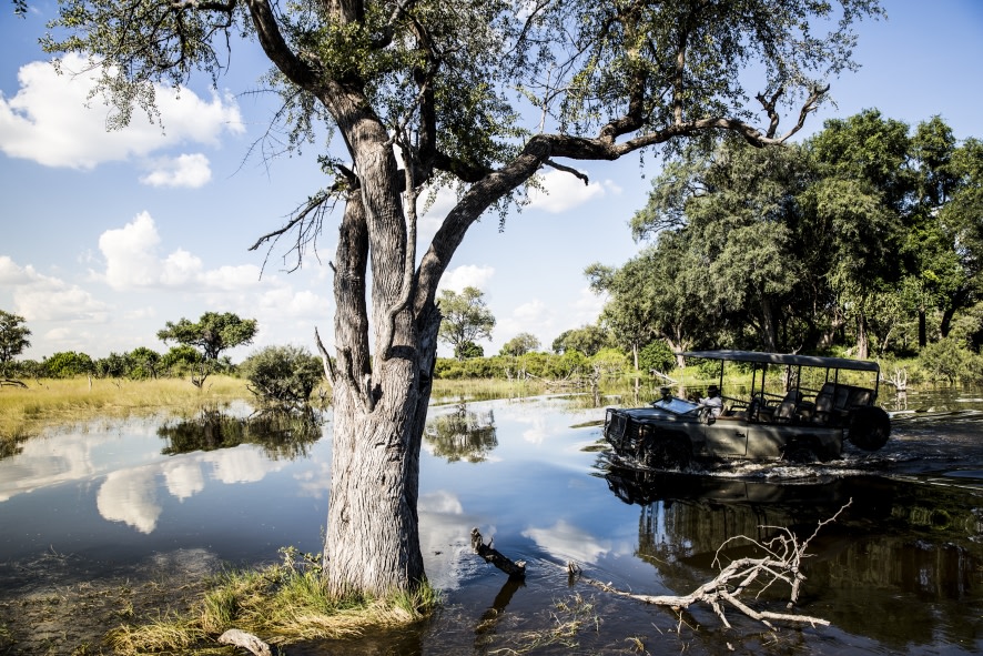 Safari im Okavango Delta in der Naehe des Vumbura Plains Camp