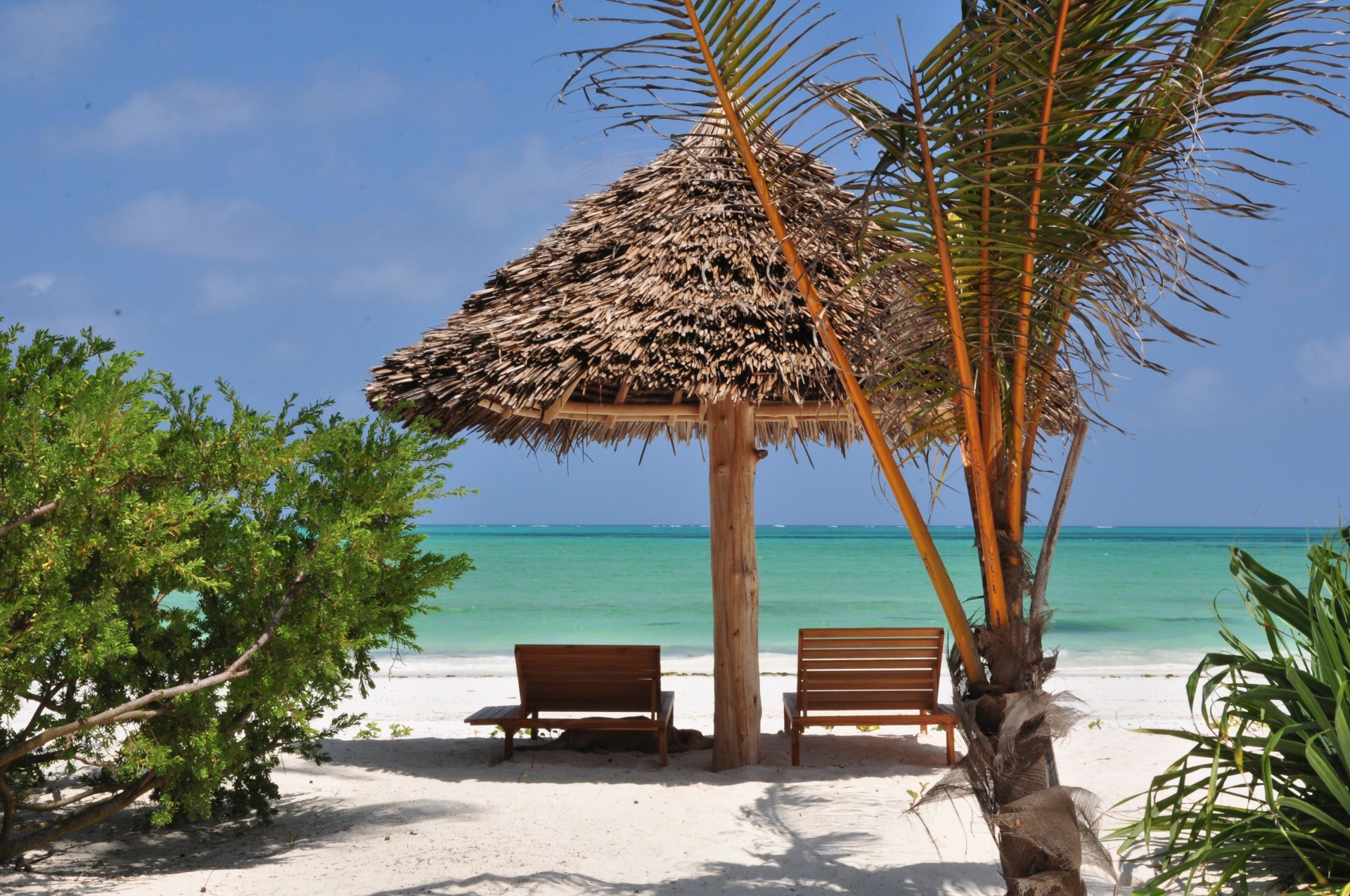 Strand mit Sonnenliegen im White Sands Zanzibar