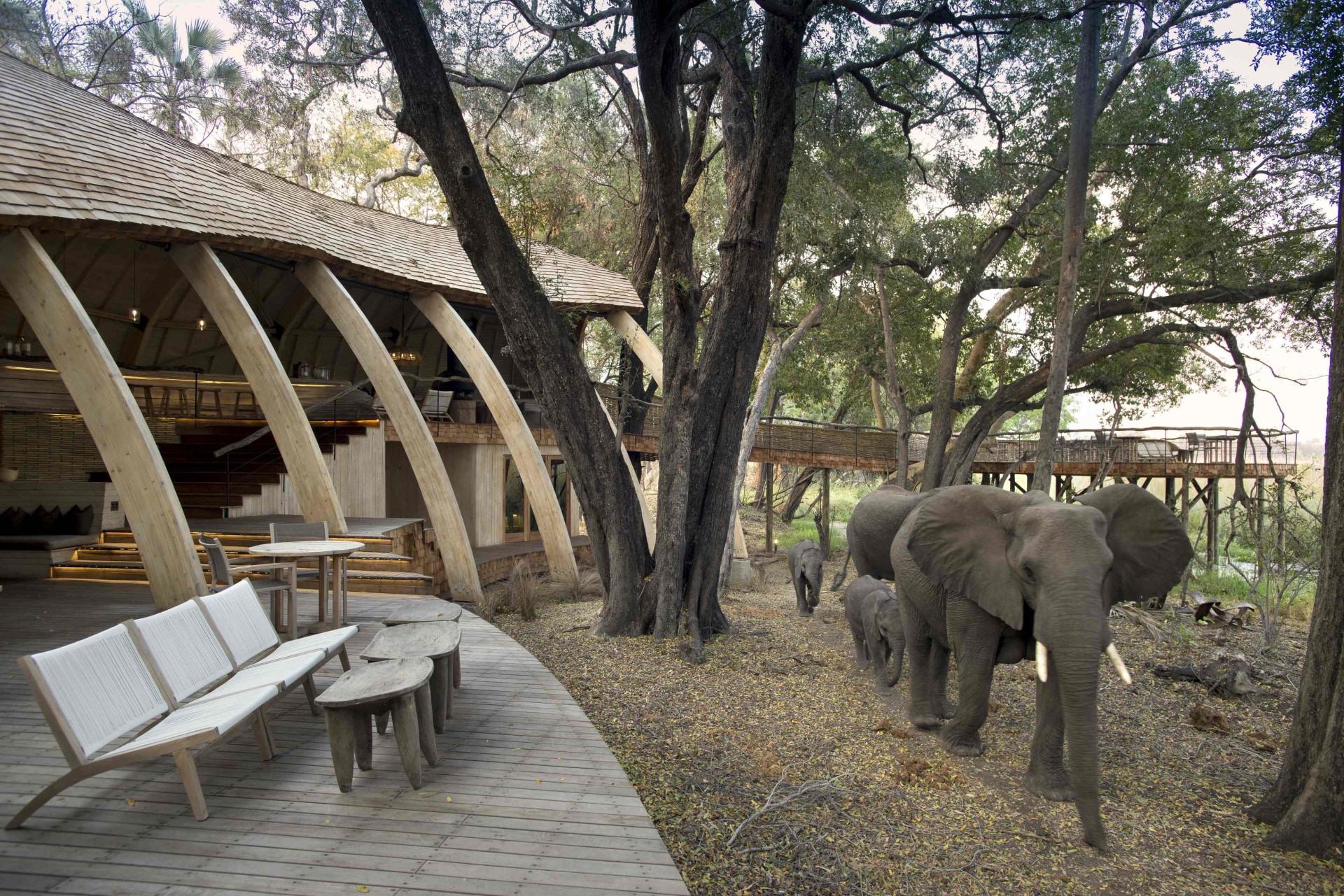 Elefanten besuchen die andBeyond Sandibe Okavango Safari Lodge