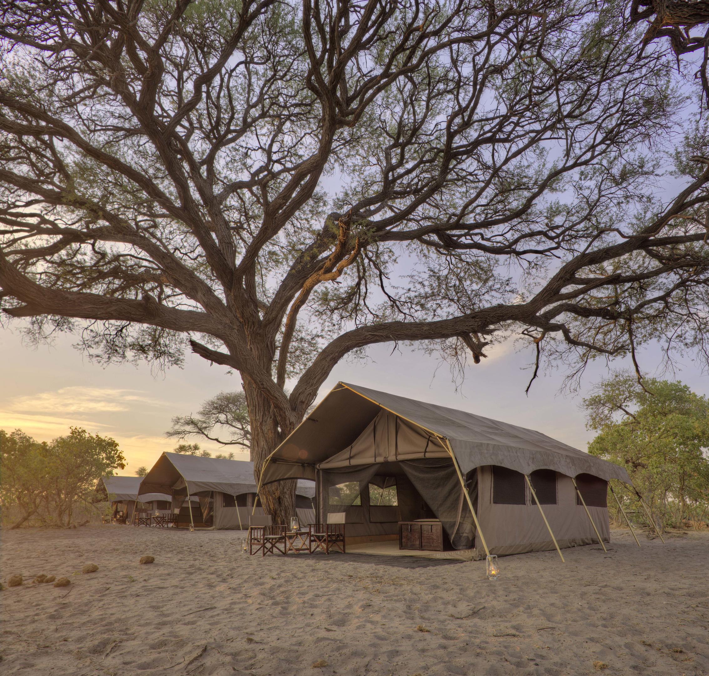 Aussenansicht des Camps andBeyond Savute Under Canvas