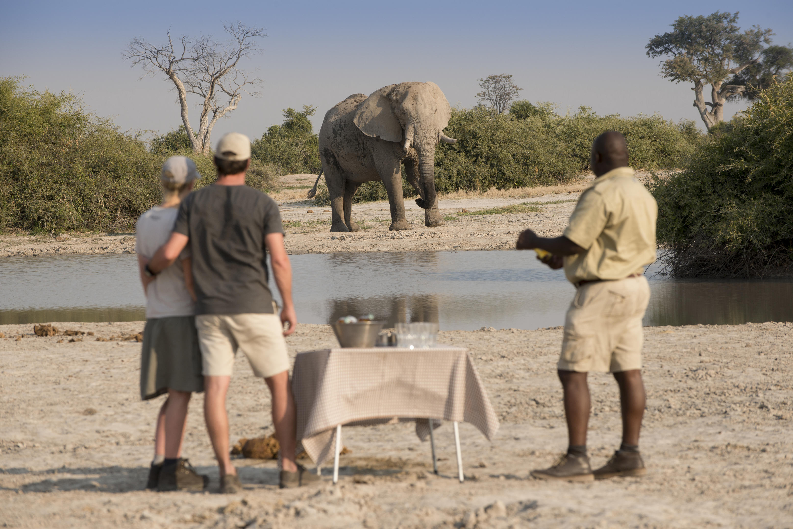 Picknick in der Wildnis mit Elefant Chobe Nationalpark