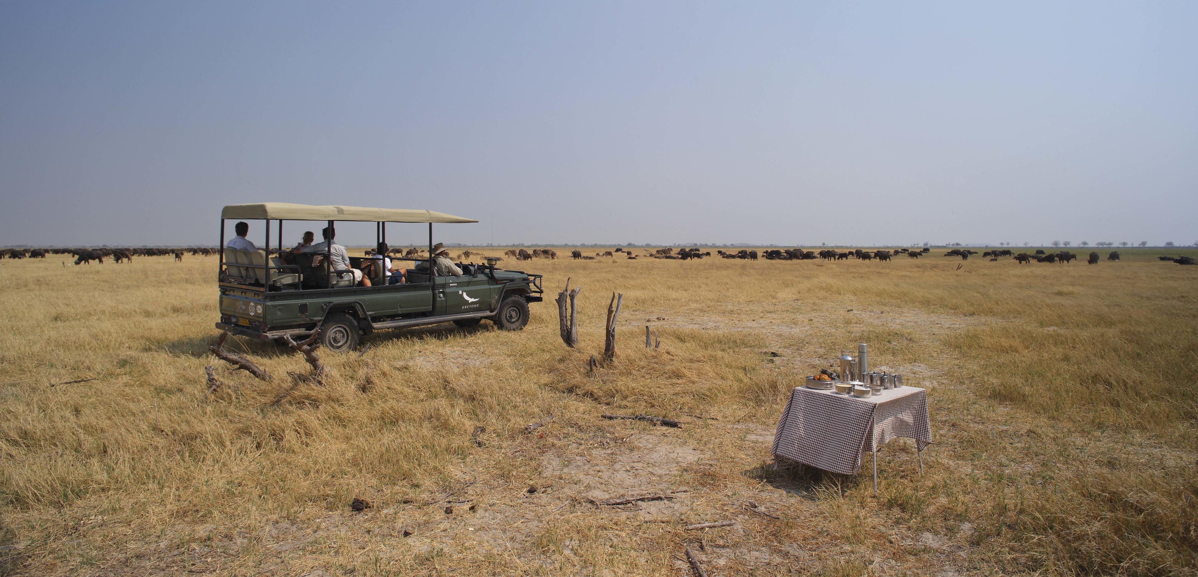 Pirschfahrt im Chobe Nationalpark