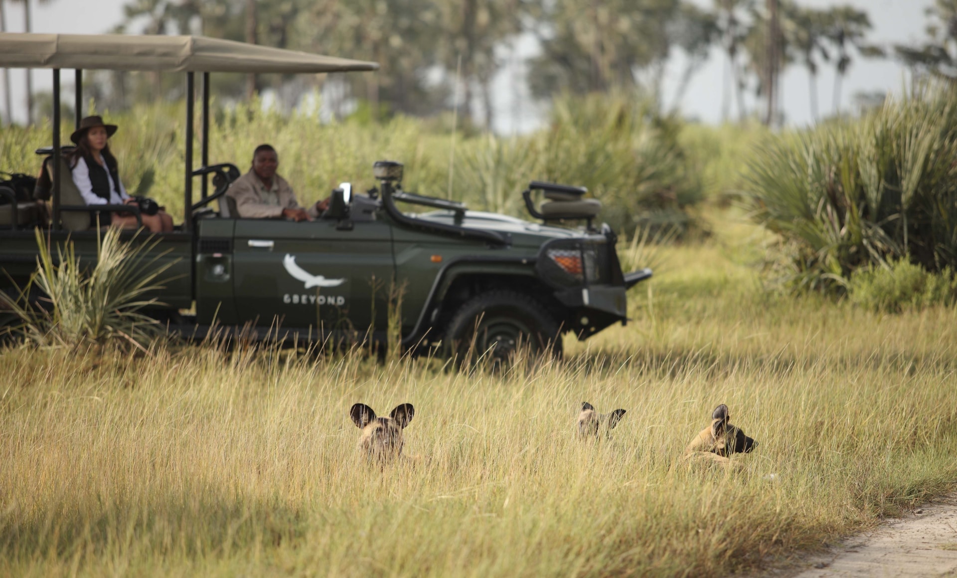 Pirschfahrt nahe der andBeyond Sandibe Okavango Safari Lodge
