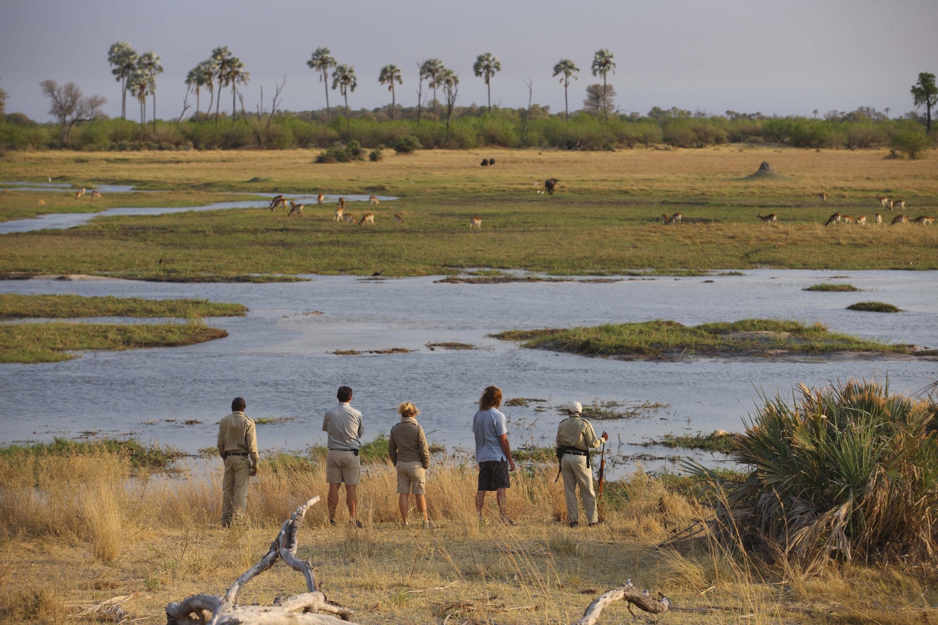 Wanderung nahe der andBeyond Sandibe Okavango Safari Lodge