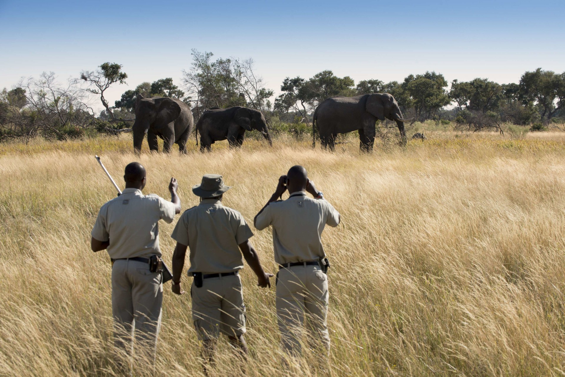 Wanderung in der Wildnis nahe des andBeyond Xaranna Okavango Delta Camp