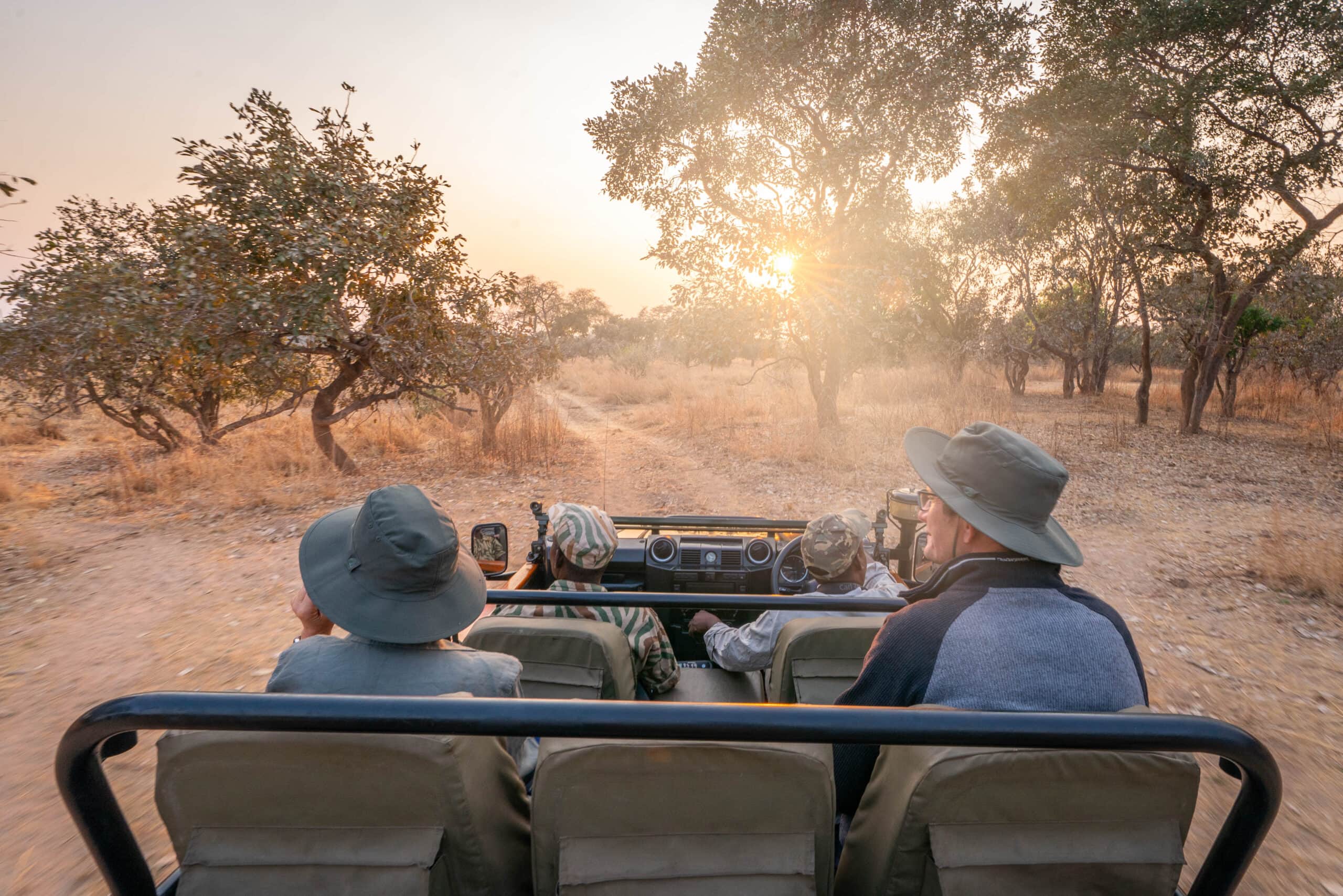 Safari South Luangwa Sambia