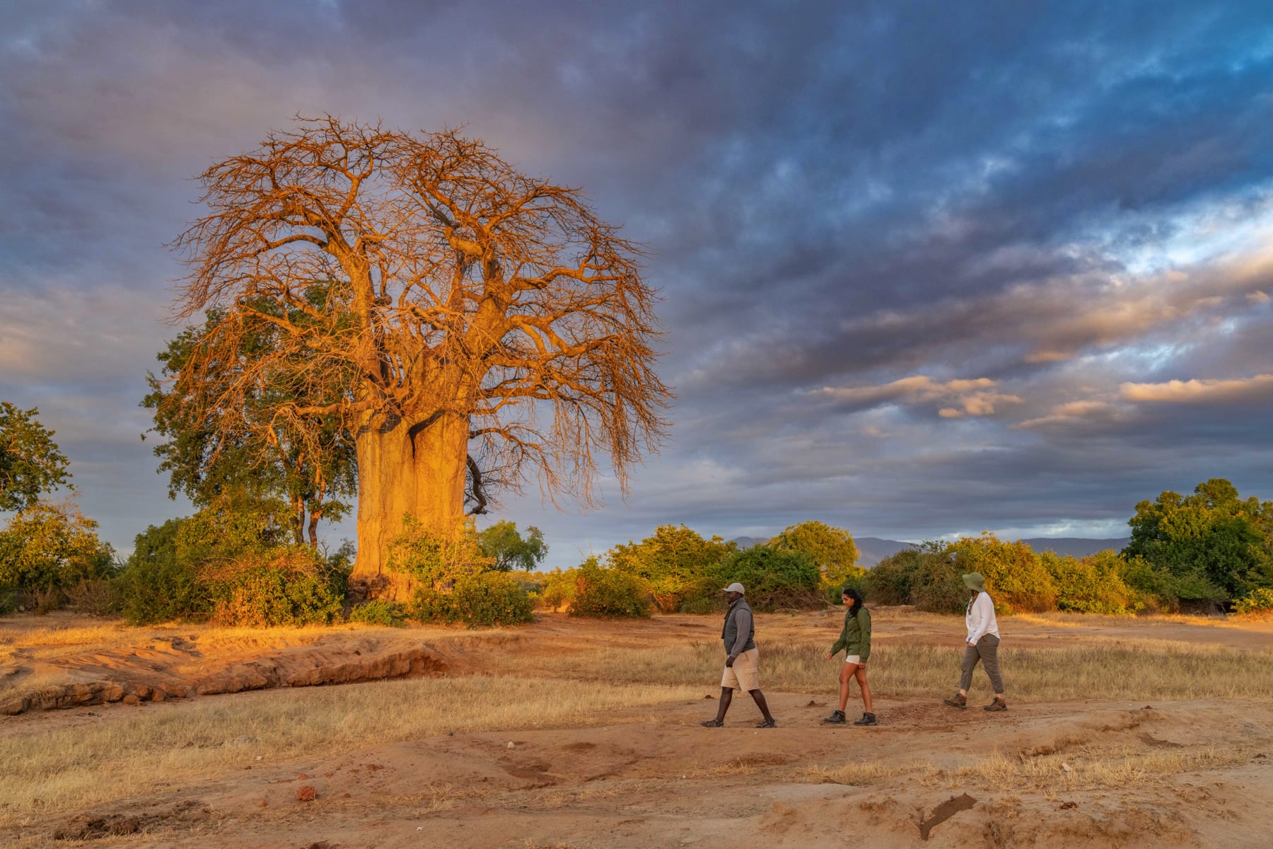 Fußsafari South Luangwa Sambia