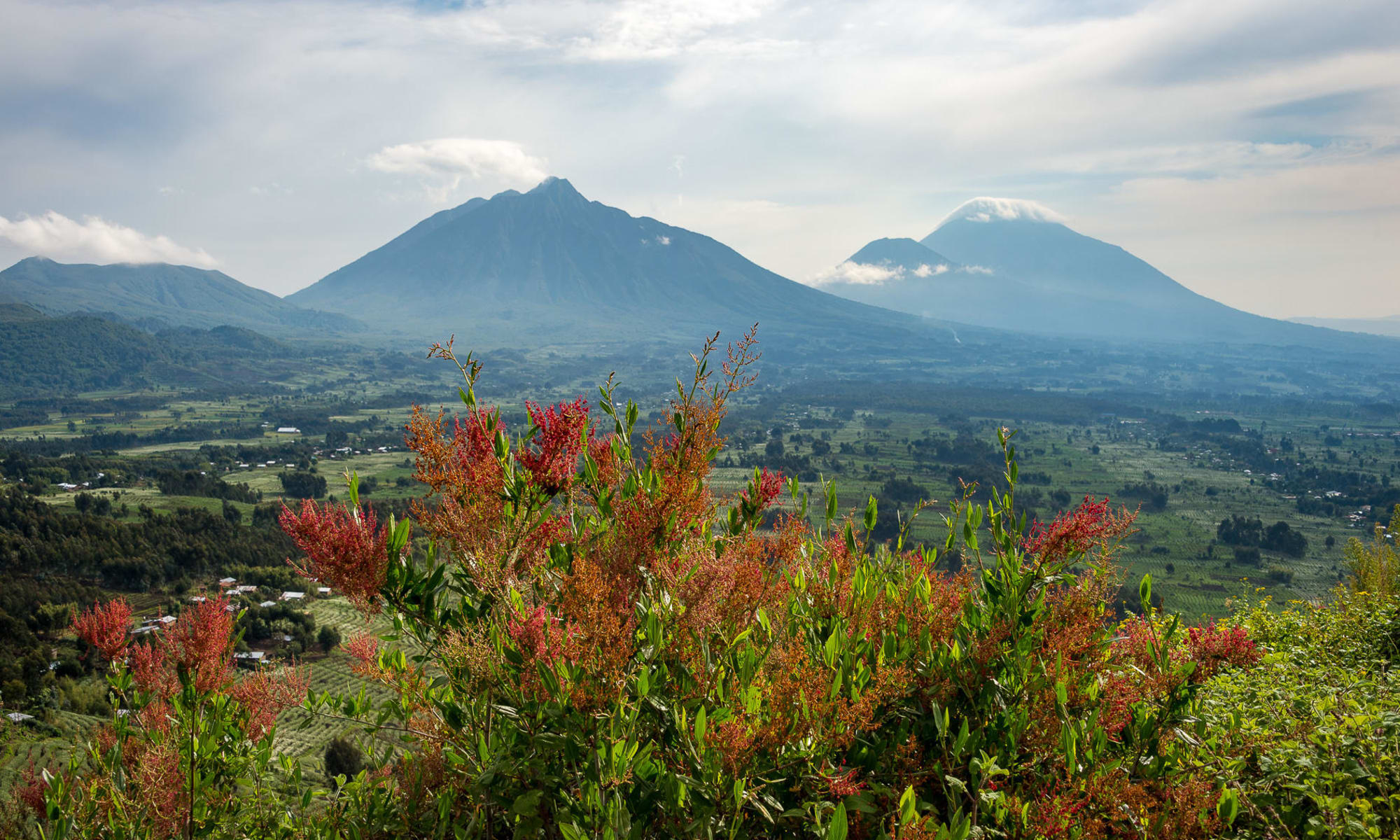 Volcanoes National Park Rwanda landscape with Virunga Mountains