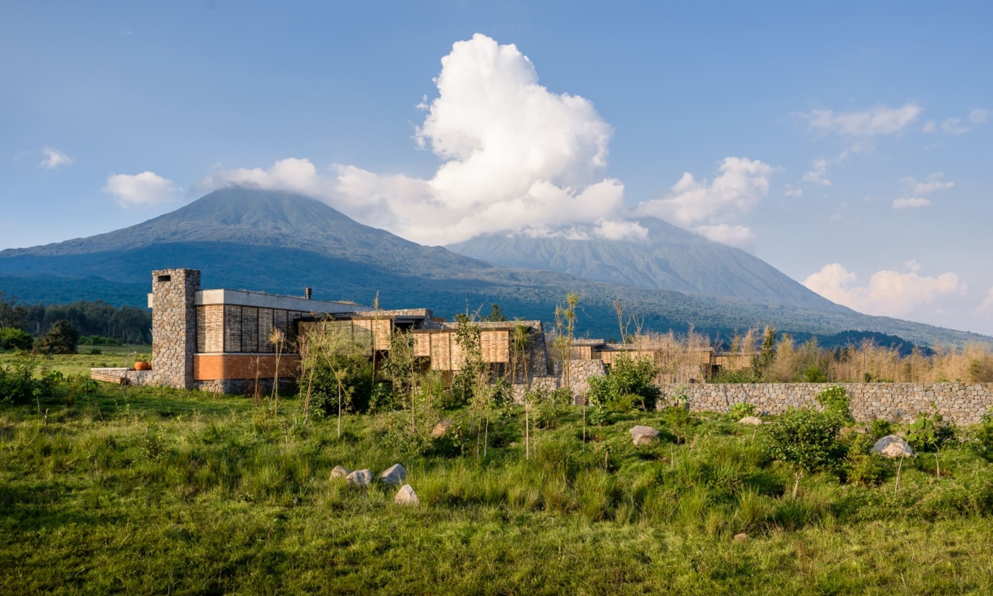 Rwanda gorilla safari