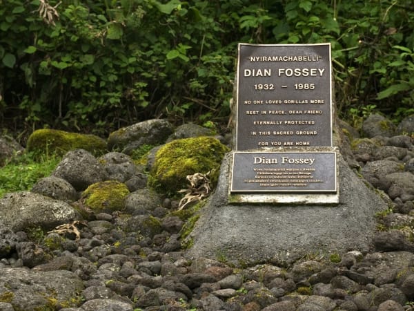 Dian Fossey Tomb Karisoke · photograph 1