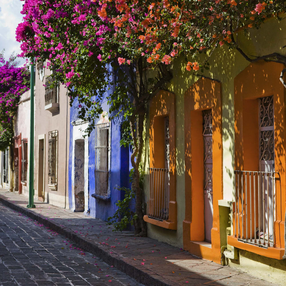 Eine bunte Straße in Santiago de Querétaro mit lebhaft blühenden Bäumen und Gebäuden in verschiedenen leuchtenden Farben wie Gelb, Orange, Blau und Rot unter einem teils bewölkten Himmel.