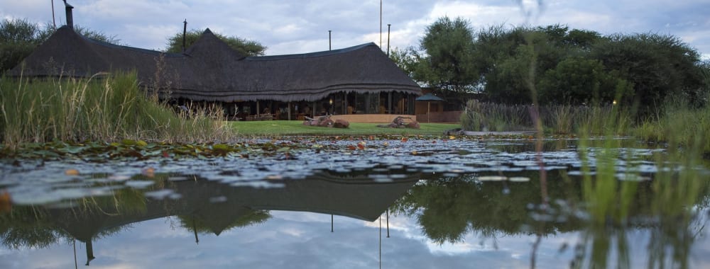 A luxury bush camp located near a calm water body with lush greenery and traditional thatched buildings in Namibia.