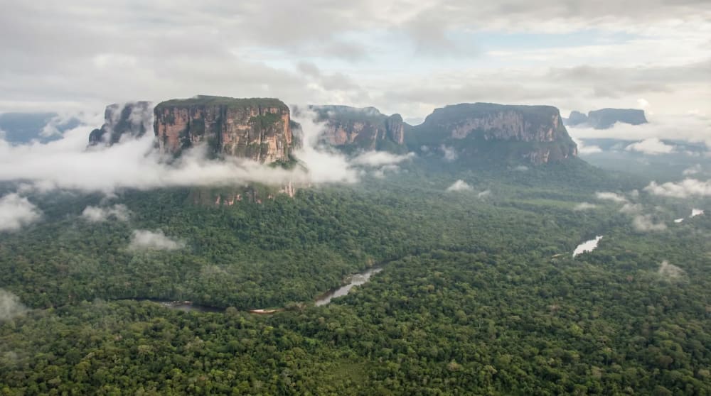 Tepui-Tafelberge der Serrania del Chiribiquete ueber unberuehrtem Regenwald aus der Luft — UNESCO-Welterbe Kolumbien