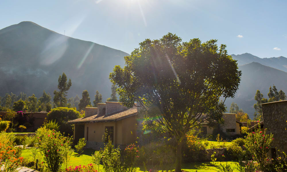 Sonnenlicht scheint über einen grünen Garten mit verschiedenen Büschen und einem großen Baum vor kleinen Häusern, mit Bergen im Hintergrund unter klarem Himmel.
