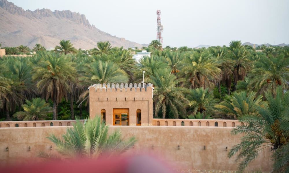 Blick auf eine historische beige Festung, umgeben von üppigen grünen Palmen, mit felsigen Hügeln im Hintergrund unter klarem Himmel.