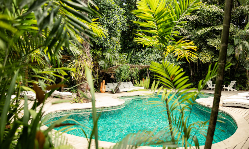Curved turquoise swimming pool surrounded by lush tropical plants and trees, with white lounge chairs and a cozy seating area in the background.