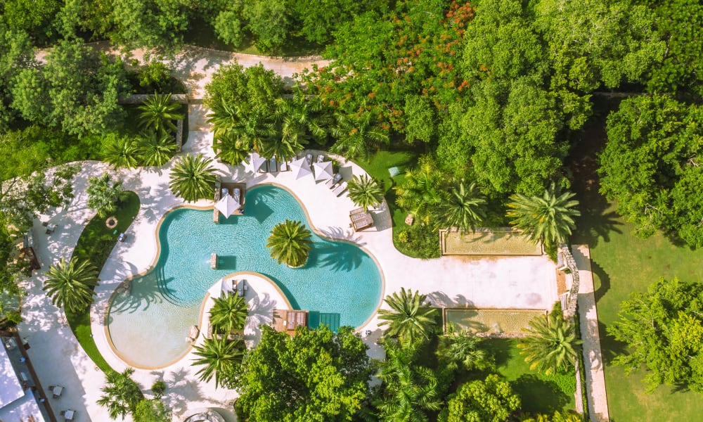 Luftaufnahme eines frei geformten Schwimmbeckens, umgeben von üppigen grünen Bäumen und Palmen mit einem Gehweg und Liegestühlen in einer tropischen Resort-Umgebung.