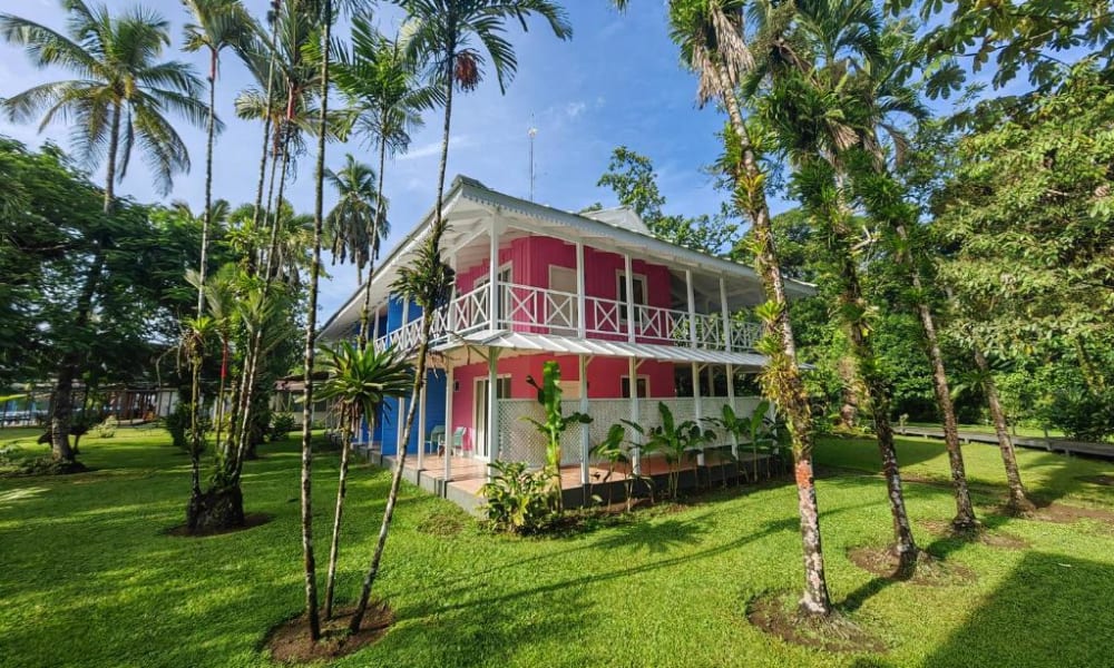 Two-story house painted in pink and blue surrounded by palm trees and green grass under a clear blue sky.