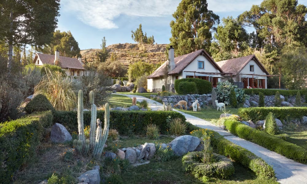 Charming small houses with sloped roofs in a lush, green garden setting at Las Casitas, Belmond Hotel, surrounded by trees and rocks.