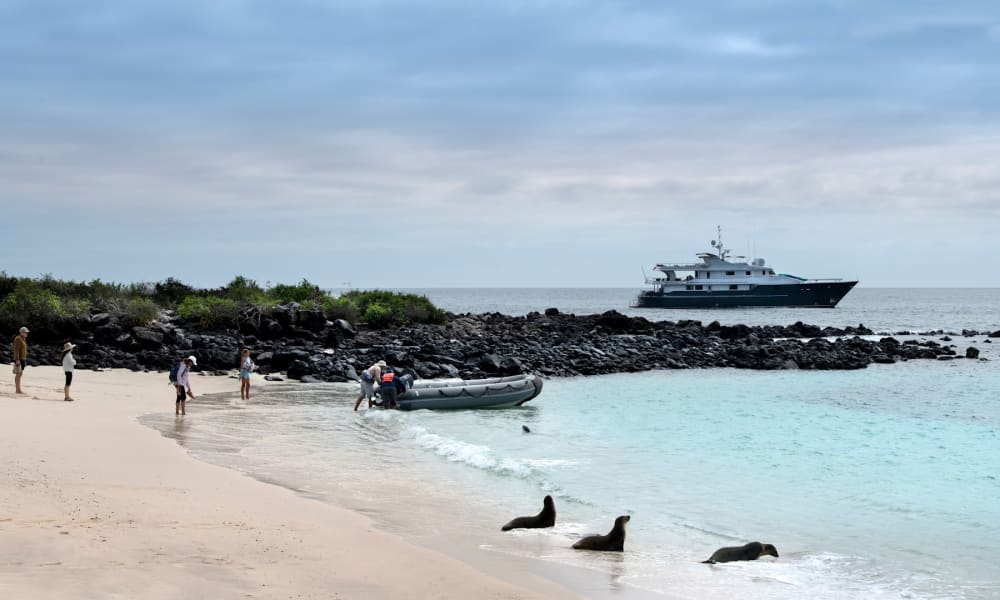 Mehrere Personen stehen am sandigen Strand mit einem Schlauchboot am Ufer, im Hintergrund sind Felsen und ein großes Expeditionsschiff auf dem Meer zu sehen.