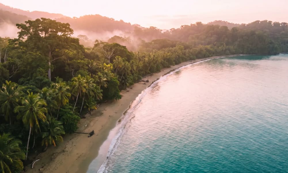 Tropischer Regenwald trifft auf Pazifikstrand bei Drake Bay auf der Osa-Halbinsel Costa Rica im Morgennebel