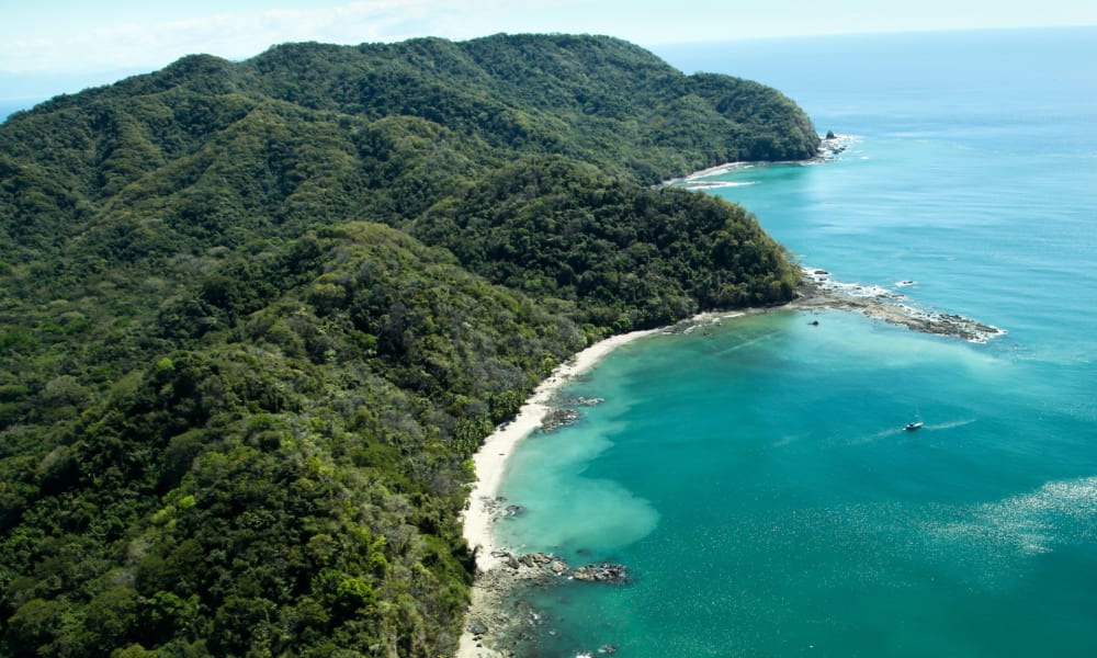 A lush green forest meeting a sandy beach with clear blue waters along a coastline.
