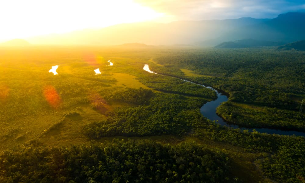 Luftaufnahme des üppigen Amazonas-Regenwaldes mit fließenden Flüssen bei Sonnenuntergang in der Nähe von Manaus, Brasilien.