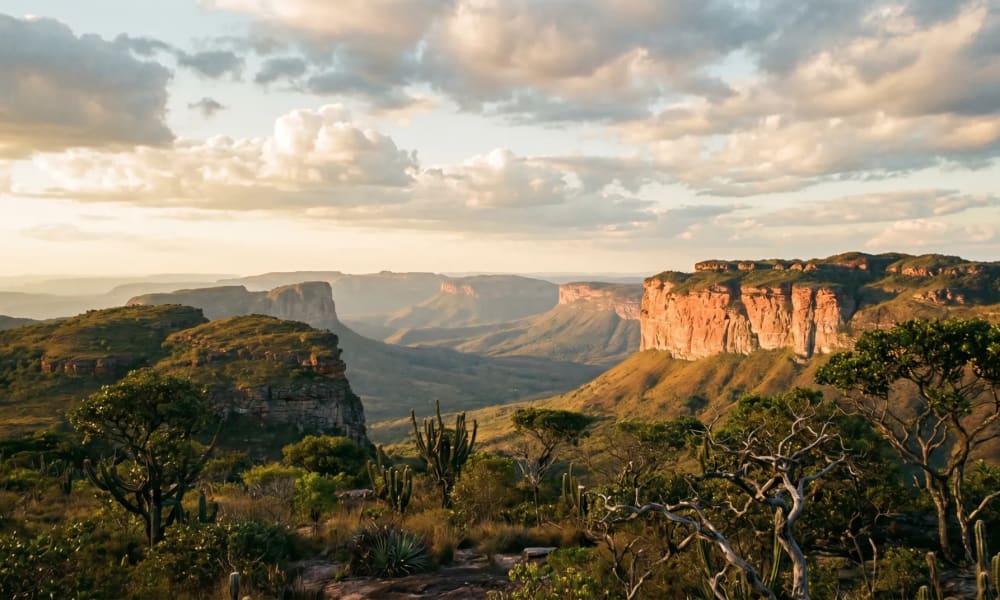 Panoramablick vom Morro do Pai Inácio über die Tafelberge der Chapada Diamantina in Bahia im warmen Abendlicht
