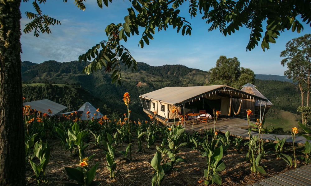 A large safari-style tent set on a raised wooden platform surrounded by orange flowers and greenery, with forested hills in the background under a blue sky.