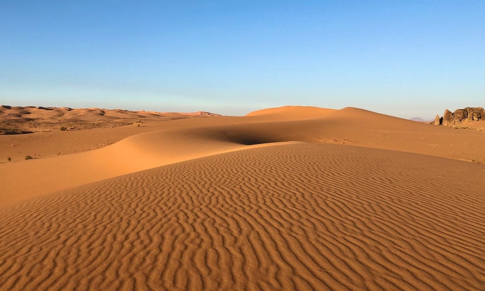 Weite goldene Sanddünen unter klarem blauen Himmel in einer Wüstenlandschaft